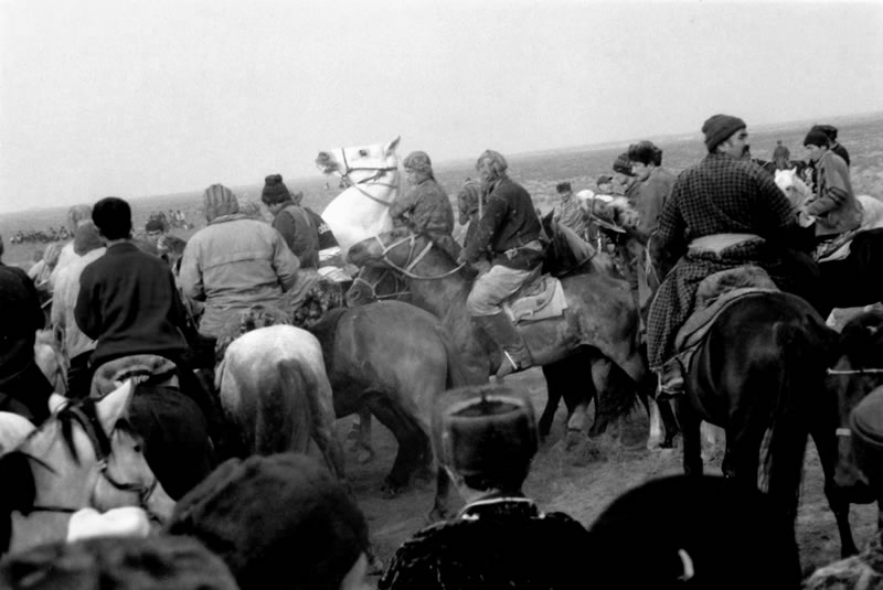 horsegame central asia uzbekistan pferde spiele asien